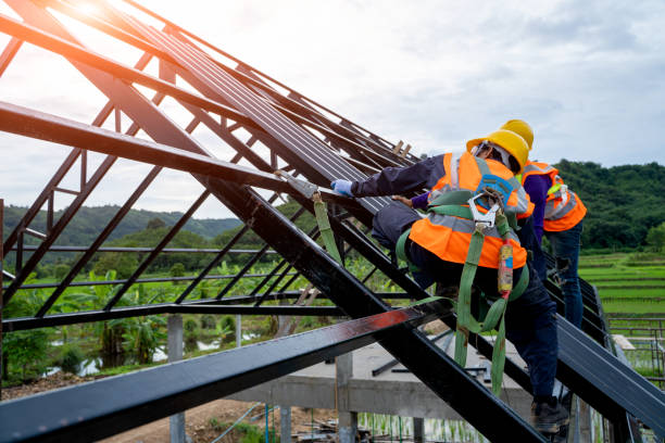 Best Local Roofing Companies  in Sidy, NE