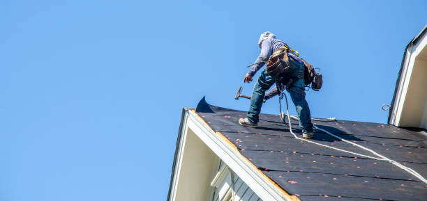 Best New Roof Installation  in Sidy, NE